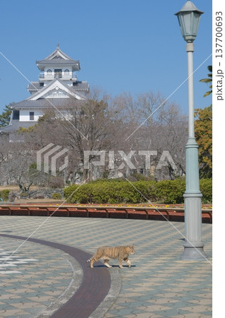 豊公園と長浜城 137700693