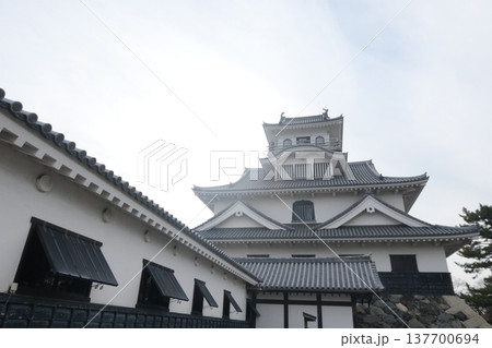 豊公園と長浜城 豊公園と長浜城 137700694