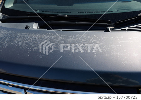 自動車ボンネットの塗装はげ 137700725