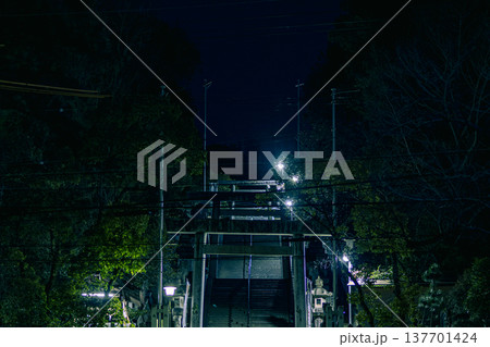 ナイトフォト ナイトフォト 137701424