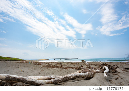 砂浜に打ち上げられた流木と青空 砂浜に打ち上げられた流木と青空 137701724