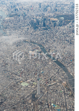 上空から眺める東京都心と東京スカイツリーの都市風景 上空から眺める東京都心と東京スカイツリーの都市風景 137702318