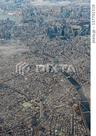 上空から眺める東京都心と東京スカイツリーの都市風景 上空から眺める東京都心と東京スカイツリーの都市風景 137702319