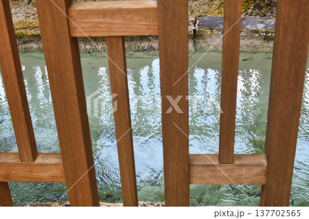 裏草津　地蔵源泉（群馬県吾妻郡草津町） 137702565