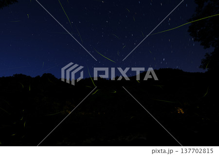 三重県　星空とホタルの舞う風景・夏イメージ 137702815