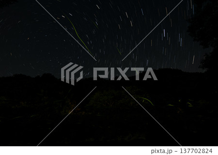三重県　星空とホタルの舞う風景・夏イメージ 137702824