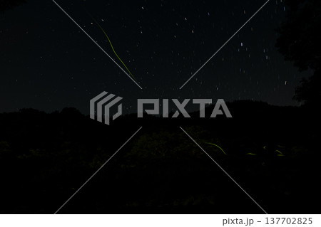 三重県 星空とホタルの舞う風景・夏イメージ 三重県 星空とホタルの舞う風景・夏イメージ 137702825