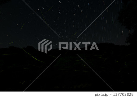 三重県　星空とホタルの舞う風景・夏イメージ 137702829