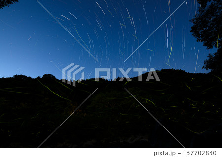 三重県　星空とホタルの舞う風景・夏イメージ 137702830