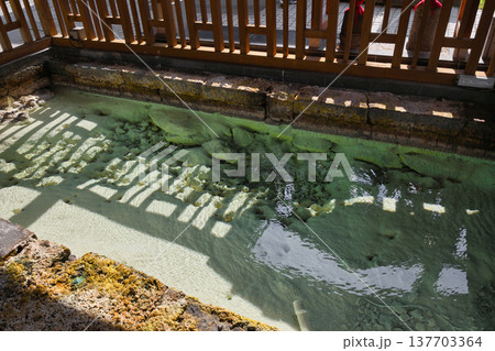 裏草津　地蔵源泉（群馬県吾妻郡草津町） 137703364