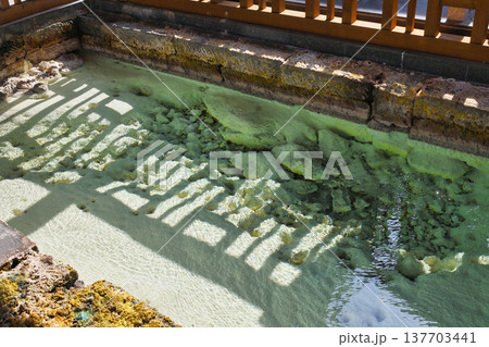裏草津 地蔵源泉(群馬県吾妻郡草津町) 裏草津 地蔵源泉(群馬県吾妻郡草津町) 137703441