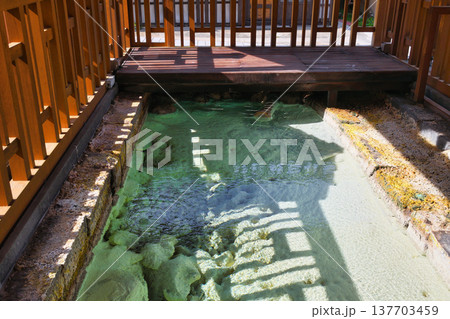 裏草津 地蔵源泉(群馬県吾妻郡草津町) 裏草津 地蔵源泉(群馬県吾妻郡草津町) 137703459