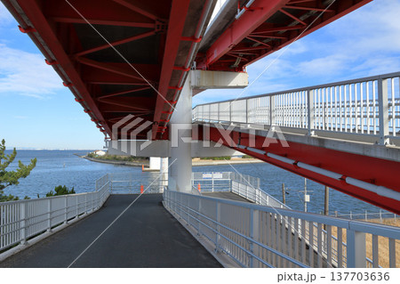 中の島大橋（木更津市） 137703636