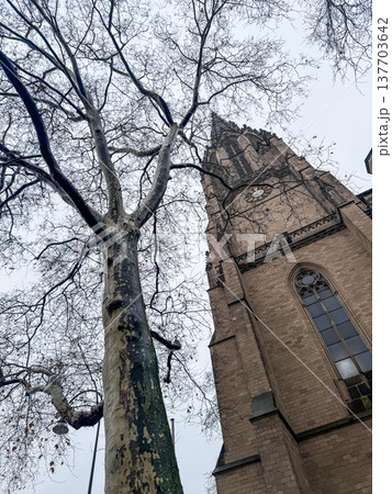 Herz Jesu Church in Cologne, Germany. The image captures the church's tall spire and intricate stonework, surrounded by bare trees against a cloudy sky. 137703642