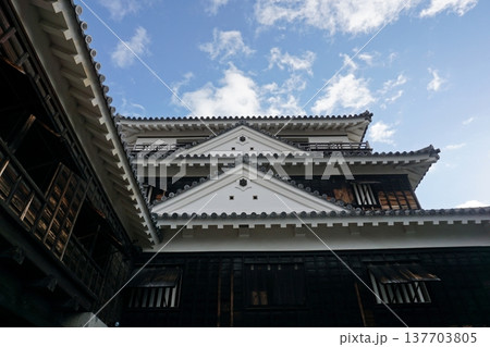 伊予松山城 天守閣 伊予松山城 天守閣 137703805