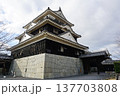 伊予松山城　天守閣 137703808