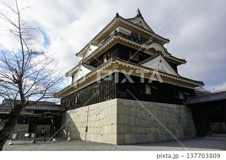 伊予松山城 天守閣 伊予松山城 天守閣 137703809