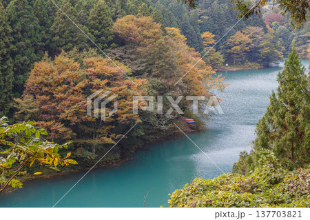 奥多摩の紅葉の季節　白丸調整池 137703821