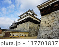 伊予松山城 137703837