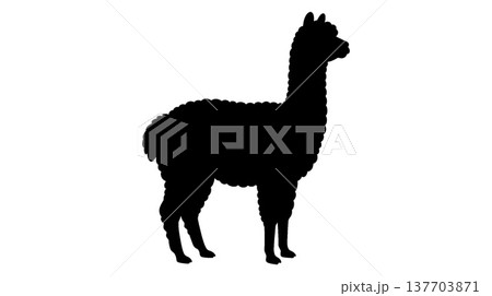 アルパカのシルエット アルパカのシルエット 137703871