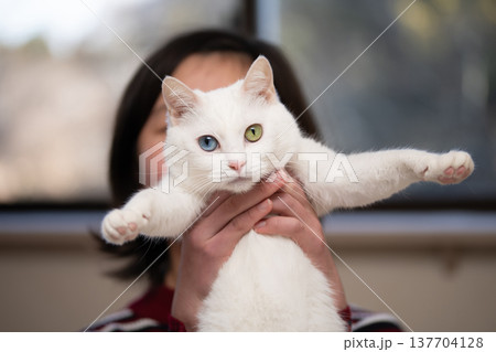 飼い主に抱かれた白い猫 137704128