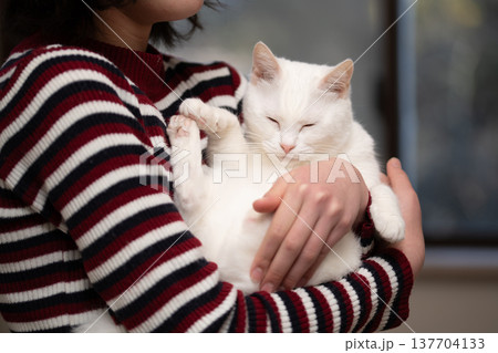 飼い主に抱かれた白い猫 飼い主に抱かれた白い猫 137704133