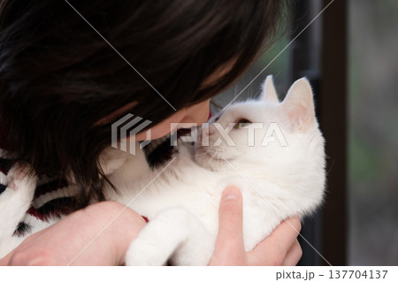 顔を近づけた猫と飼い主 137704137