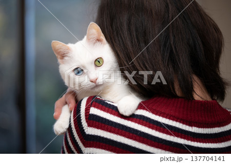 飼い主に抱かれた白い猫 飼い主に抱かれた白い猫 137704141