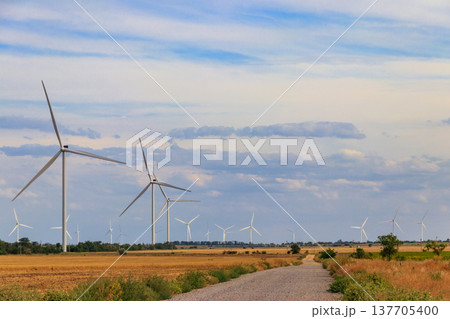Wind turbines in a field. Renewable energy Wind turbines in a field. Renewable energy 137705400