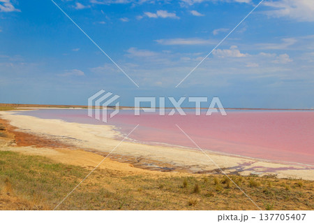 View of the pink salty Syvash lake in Kherson region, Ukraine View of the pink salty Syvash lake in Kherson region, Ukraine 137705407