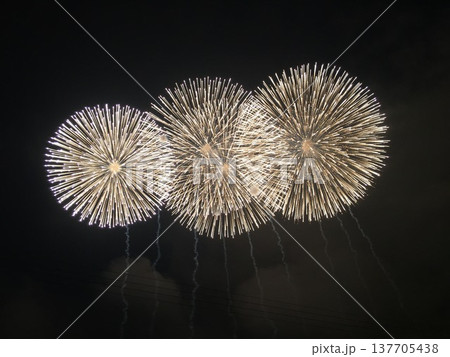 夜空に咲く大輪の花火 137705438