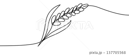 Wheat Ear sign, minimalist ecological and environmental concept symbol, continuous line design, isolated on transparent background, vector illustration Wheat Ear sign, minimalist ecological and environmental concept symbol, continuous line design, isolated on transparent background, vector illustration 137705568