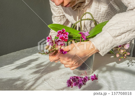 Drying and falling of flowers and buds in the Orchid. 137708018