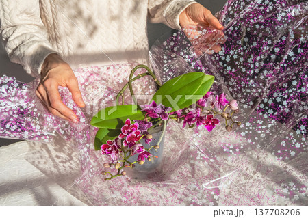 Packing a pot with a blooming orchid. Packing a pot with a blooming orchid. 137708206