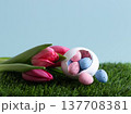 Easter colored eggs with tulips in green grass on a blue background. Beautiful Easter composition with small colorful eggs in a hatched chicken egg. Copy space. 137708381