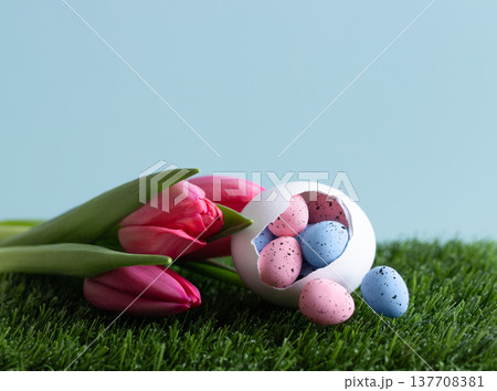 Easter colored eggs with tulips in green grass on a blue background. Beautiful Easter composition with small colorful eggs in a hatched chicken egg. Copy space. Easter colored eggs with tulips in green grass on a blue background. Beautiful Easter composition with small colorful eggs in a hatched chicken egg. Copy space. 137708381