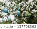 Easter blue eggs on a blooming apple branch. Easter time. Festive decor. 137708392