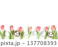 Easter white background with pink tulips, eggs in nests and rabbit. Copy space, top view, flat lay. 137708393