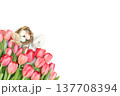 Bouquet of pink tulips, eggs in a nest and a rabbit isolated on a white background with copy space. Easter composition. View from above. 137708394
