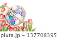 Easter basket with painted eggs and pink tulips on white background. Beautiful Easter composition. Banner. Copy space, top view, flat lay. 137708395