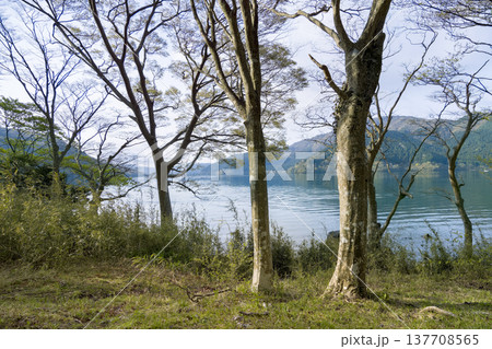 箱根・芦ノ湖の朝 / Hakone, Kanagawa, Japan 137708565