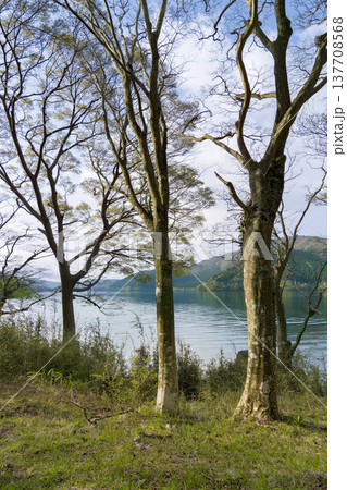 箱根・芦ノ湖の朝 / Hakone, Kanagawa, Japan 137708568