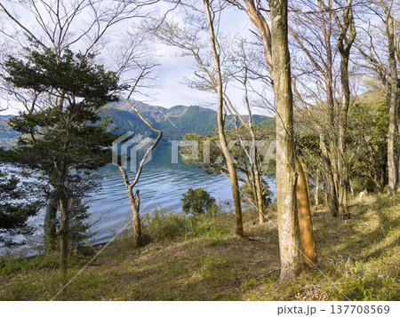 箱根・芦ノ湖の朝 / Hakone, Kanagawa, Japan 137708569