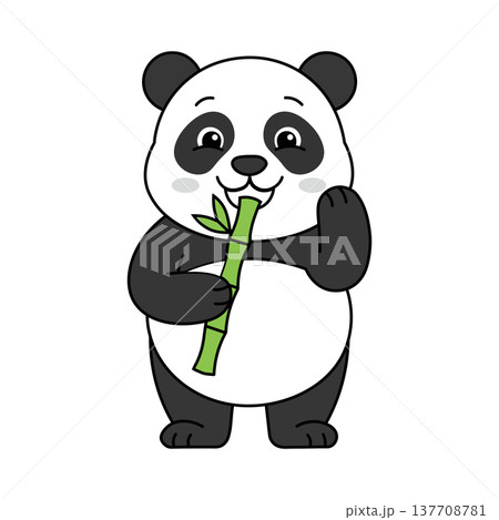Cartoon panda bear eating bamboo standing isolated on white background 137708781