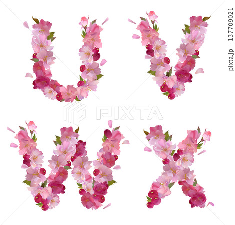 Spring alphabet with cherry flowers U V W X 137709021