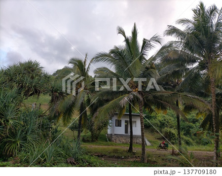 Great hostel in good sunset Great hostel in good sunset 137709180