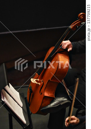 Cello musician performing on stage in vertical close view 137709215