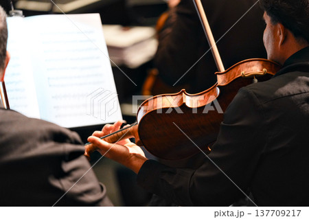 Violinist performing in orchestra during concert rehearsal indoors Violinist performing in orchestra during concert rehearsal indoors 137709217