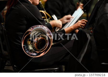 French horn musician in orchestra during rehearsal performance French horn musician in orchestra during rehearsal performance 137709218