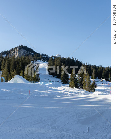 Vertical winter ski scene with snowy slope and blue sky 137709334
